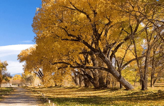 Taos, New Mexico